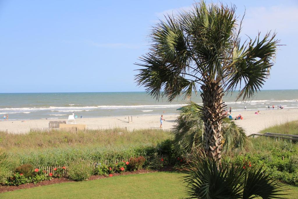 Jade Tree Cove Hotel Myrtle Beach Ngoại thất bức ảnh